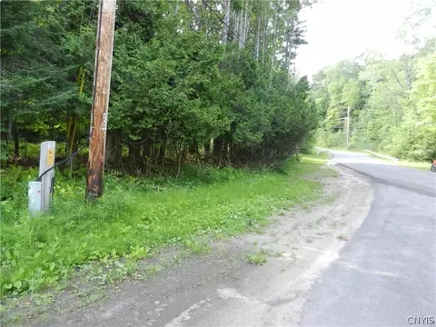 00 Bingham Mills Rd, Salisbury, NY 13470