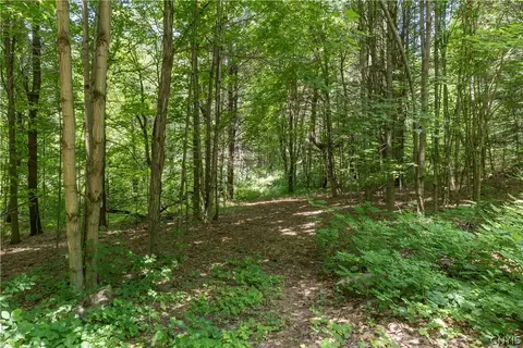 Split Rock Road, Hammond, NY 13646 photo 8