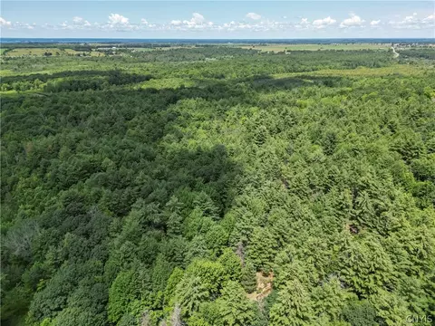 Split Rock Road, Hammond, NY 13646 photo 7