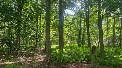 137 Windham Rd, Smithville, NY 13778 photo 6