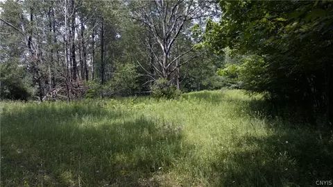 137 Windham Rd, Smithville, NY 13778 photo 13