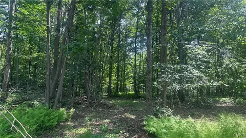 137 Windham Rd, Smithville, NY 13778 photo 16