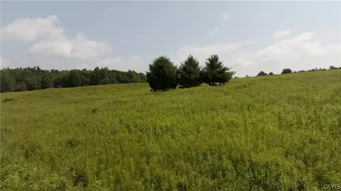 137 Windham Rd, Smithville, NY 13778 photo 3