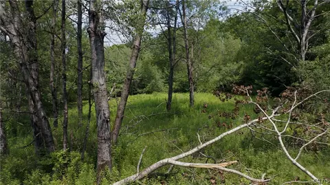137 Windham Rd, Smithville, NY 13778 photo 12