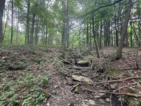 Flat Iron Road, Granger, NY 14846 photo 13