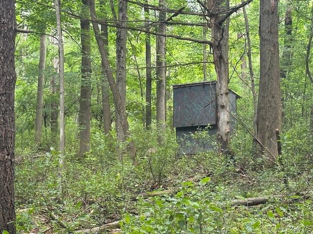 Flat Iron Road, Granger, NY 14846