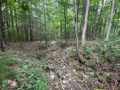 Flat Iron Road, Granger, NY 14846 photo 11