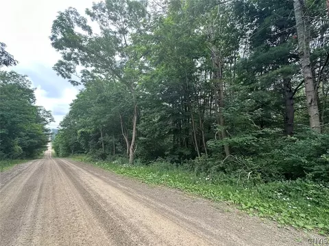 Flat Iron Road, Granger, NY 14846 photo 2