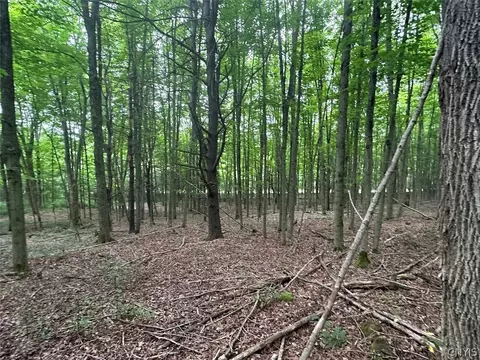 Flat Iron Road, Granger, NY 14846 photo 6