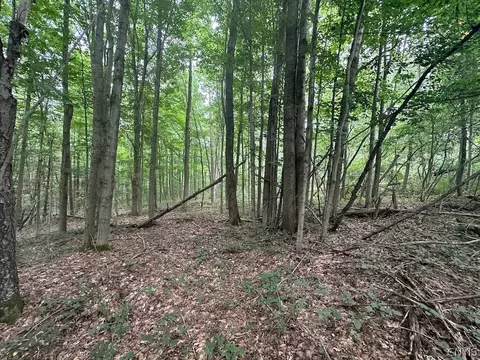 Flat Iron Road, Granger, NY 14846 photo 10