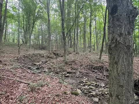 Flat Iron Road, Granger, NY 14846 photo 8