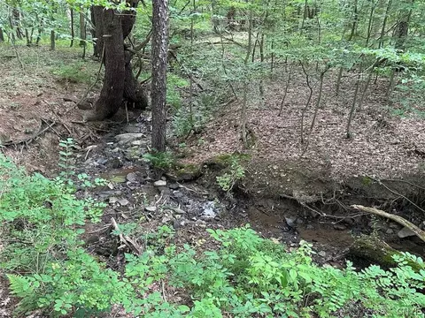 Flat Iron Road, Granger, NY 14846 photo 7