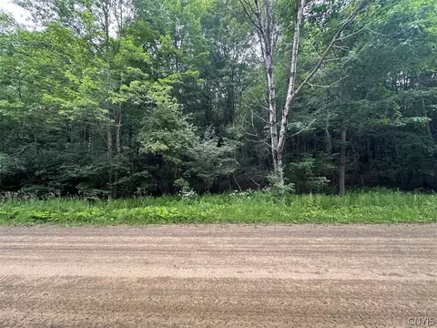 Flat Iron Road, Granger, NY 14846 photo 11