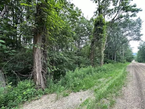 Flat Iron Road, Granger, NY 14846 photo 9