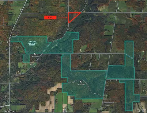 Flat Iron Road, Granger, NY 14846 photo 17