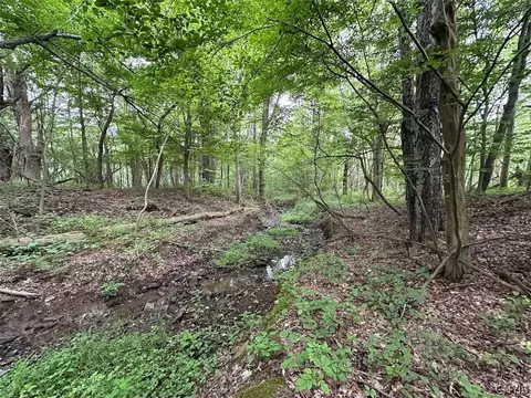 Flat Iron Road, Granger, NY 14846 photo 3