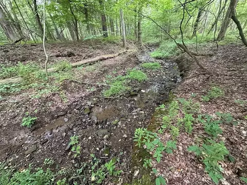 Flat Iron Road, Granger, NY 14846 photo 4