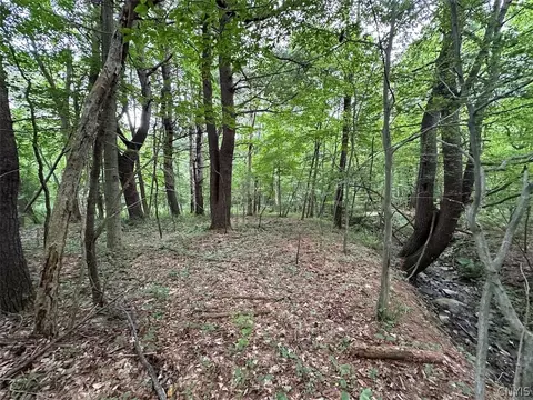 Flat Iron Road, Granger, NY 14846 photo 8