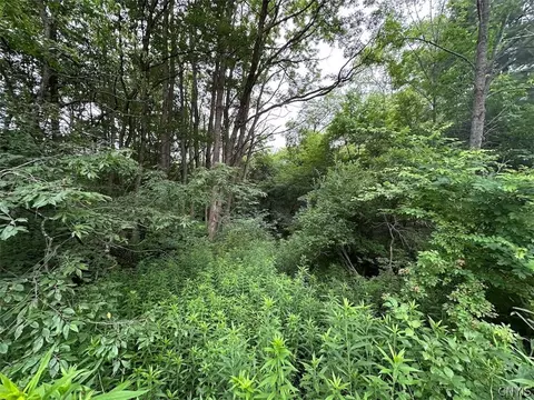 Flat Iron Road, Granger, NY 14846 photo 10