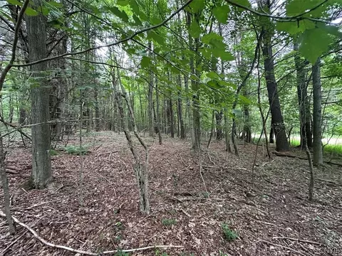 Flat Iron Road, Granger, NY 14846 photo 13