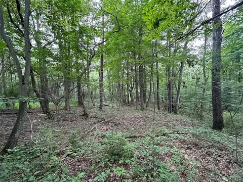 Flat Iron Road, Granger, NY 14846 photo 6