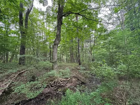 Flat Iron Road, Granger, NY 14846 photo 5