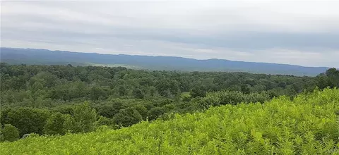 271 Snyder Rd, Norway, NY 13416