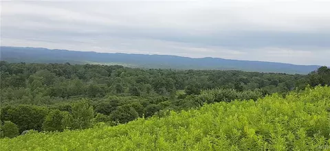 271 Snyder Rd, Norway, NY 13416