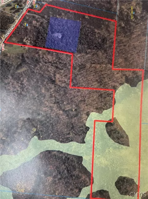 8707 Old State Rd, Pinckney, NY 13626