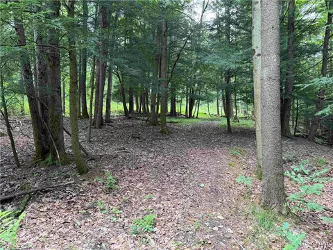 Cr-17, Belfast, NY 14711 photo 7