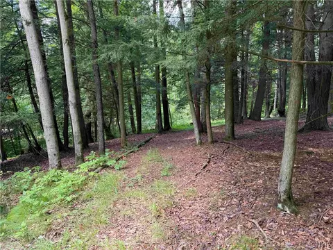 Cr-17, Belfast, NY 14711 photo 11