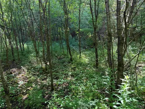 Cr-17, Belfast, NY 14711 photo 15