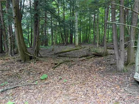Cr-17, Belfast, NY 14711 photo 10