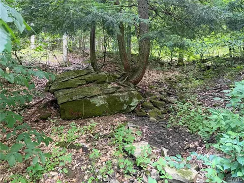 Cr-17, Belfast, NY 14711 photo 5