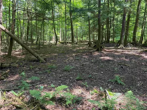 Cr-17, Belfast, NY 14711 photo 12