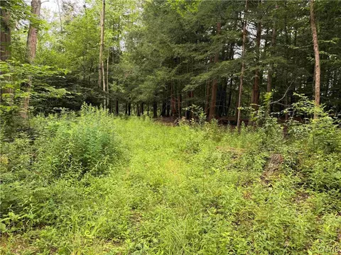 Cr-17, Belfast, NY 14711 photo 9