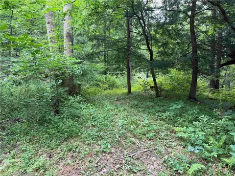 Cr-17, Belfast, NY 14711 photo 4