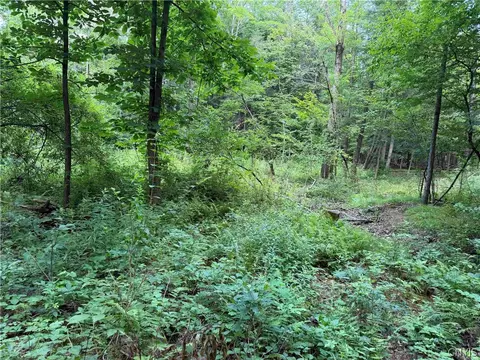 Cr-17, Belfast, NY 14711 photo 8