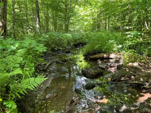 E Of Town Line Road, Worth, NY 13659