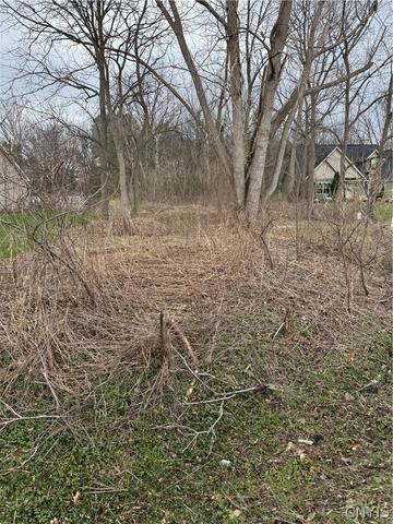 7364 Buckley Rd, Clay, NY 13212