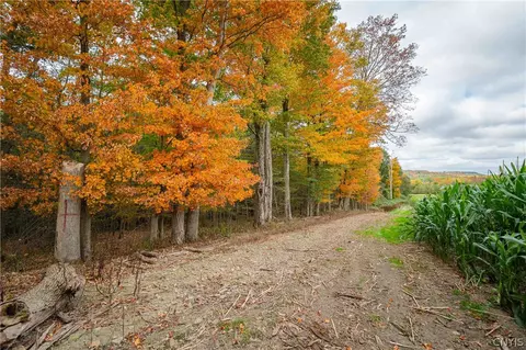 Other - 5785 Hayes Rd, Bath, NY 14810 photo 19 of 19