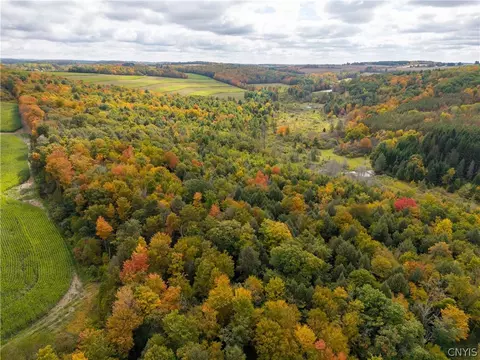 View/Area - 5785 Hayes Rd, Bath, NY 14810 photo 6 of 12