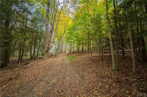 Other - 5785 Hayes Rd, Bath, NY 14810 photo 18 of 19