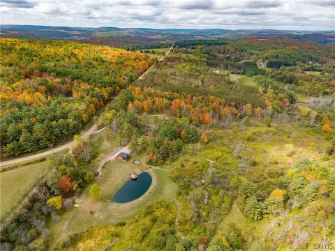 View/Area - 5785 Hayes Rd, Bath, NY 14810 photo 5 of 12