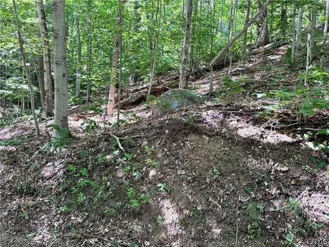 Oneida Road, Webb, NY 13420 photo 3