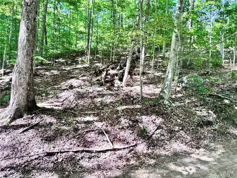 Oneida Road, Webb, NY 13420 photo 2