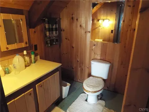 Bath - 203 Deep Springs Dr, Sullivan, NY 13037 photo 5 of 6