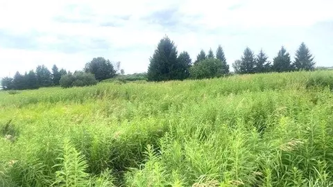 Rockbrook Estates Rd Road, Le Ray, NY 13637