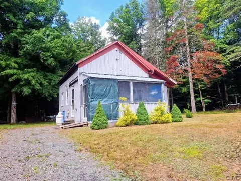 797 Lone Pine Dr, Forestport, NY 13338