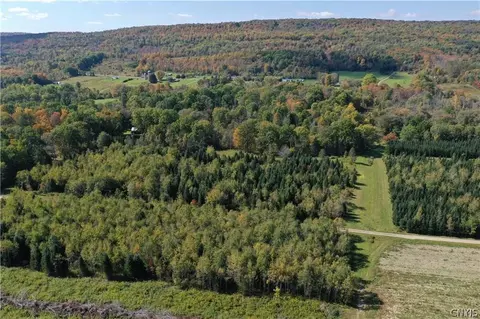 0 Bumpy Bridge Rd N, Wheeler, NY 14873 photo 5